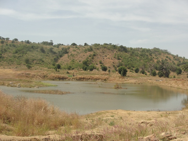 Services sociaux de base:  Onze forages et six retenues d’eau entre Dapaong-Ponio